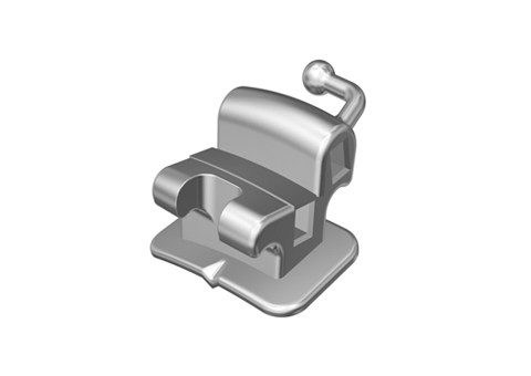 Double Rectangular 1st Molar