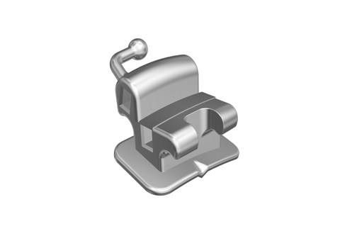 Double Rectangular 1st Molar