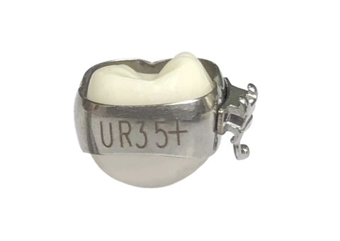 1st Molar Upper-Double Rectangular/Lower-Single Rectangular