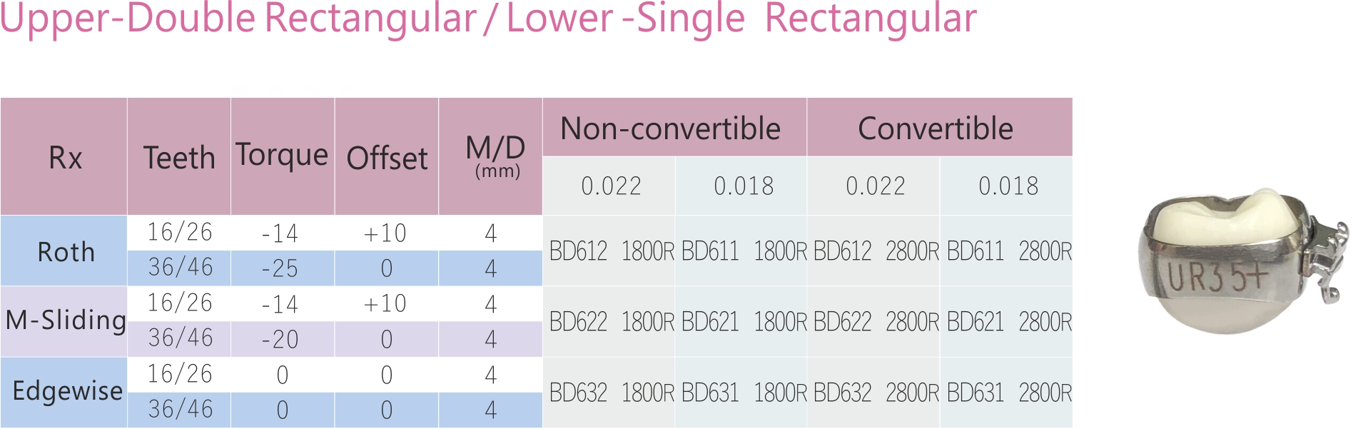 94 1 molar Upper Double Rectangular Lower Single Rectangular