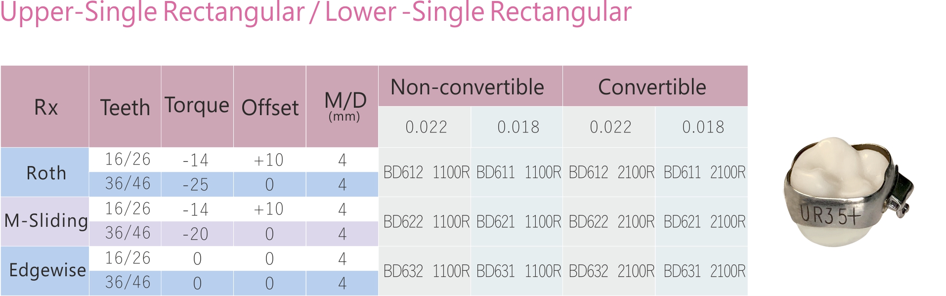 94 1 molar Upper Single Rectangular Lower Single Rectangular