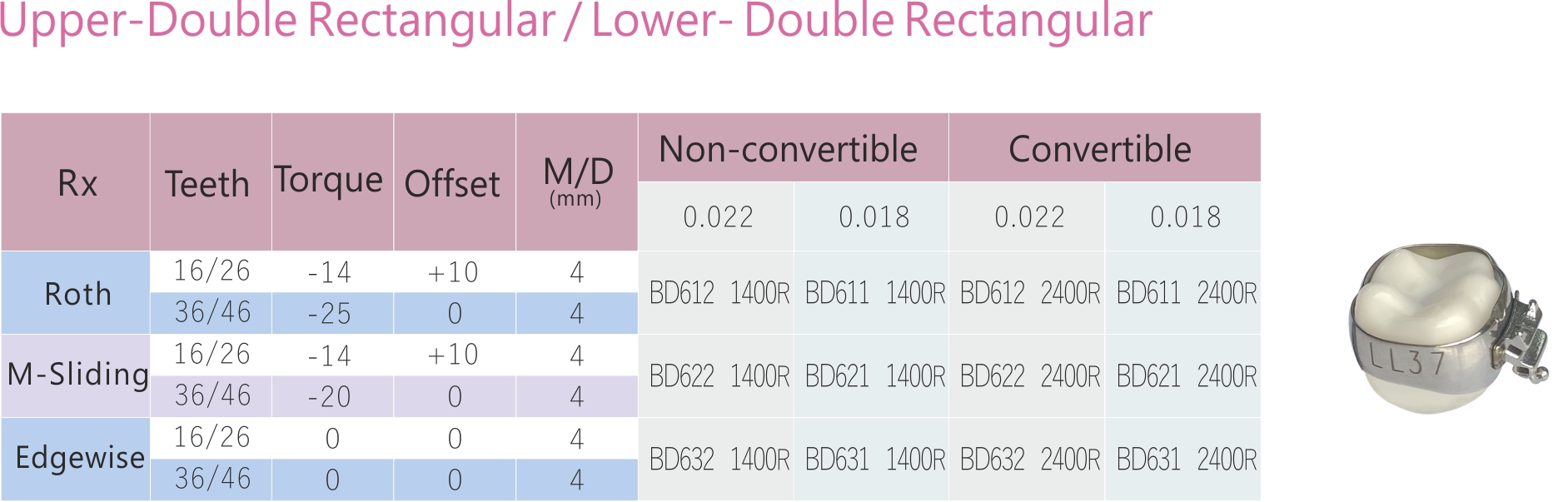 95 1 molar Upper Double Rectangular Lower Double Rectangular