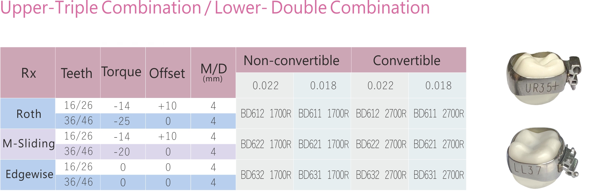 95 1 molar Upper Triple Combination Lower Double Combination