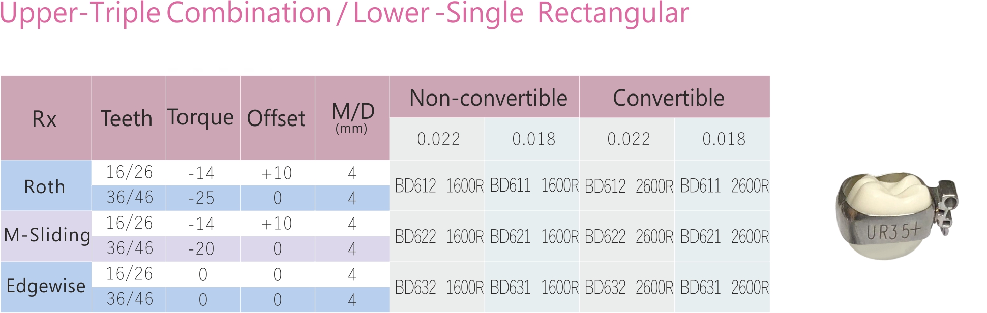 95 1 molar Upper Triple Combination Lower Single Rectangular