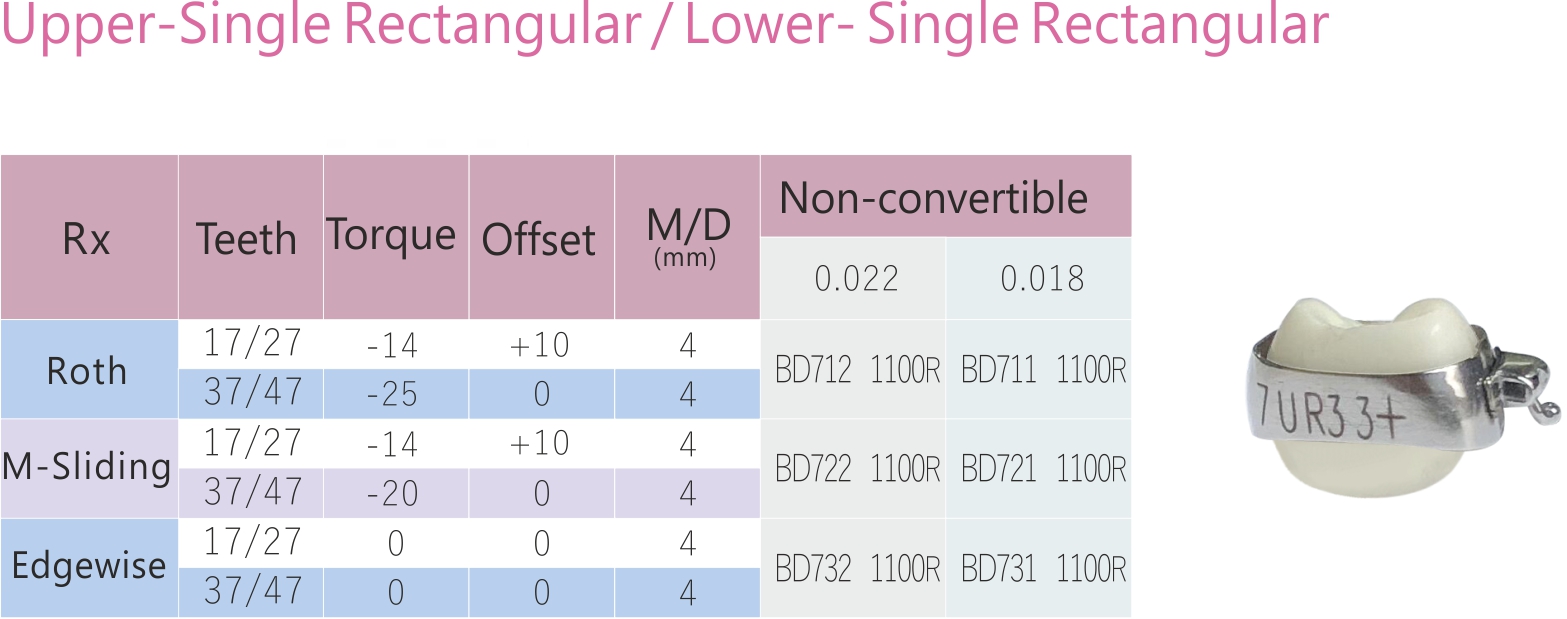 96 2 molar Upper Single Rectangular Lower Single Rectangular